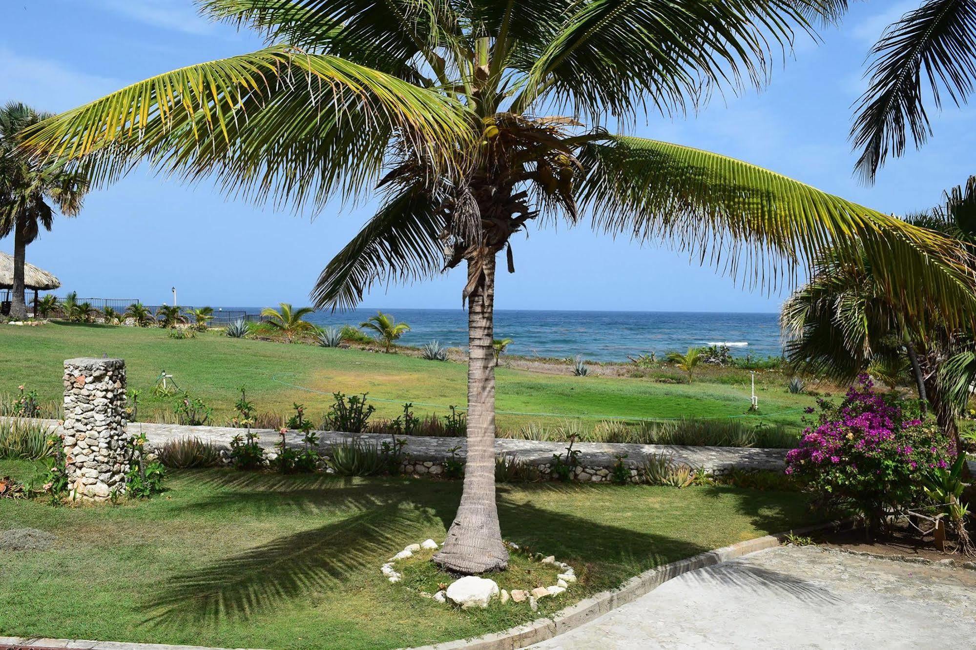 Hotel El Quemaito - Luxury Oceanfront Retreat Barahona المظهر الخارجي الصورة
